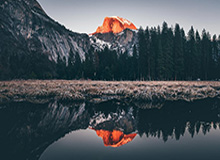 奇异果入口-【观察】法国队兵强马壮 德尚的烦恼都是幸福烦恼